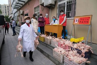 兽医天使抗疫记 家禽销售中的防疫保供先锋