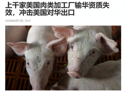 美国家禽猪肉出口续签中国市场，业界迎来关键机遇