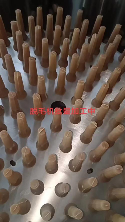 预存、备货、家禽销售 家禽脱毛机工厂生存与发展的关键功课