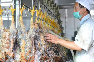 回应市民四疑问 | 关于'生鲜鸡'，你不知道的秘密